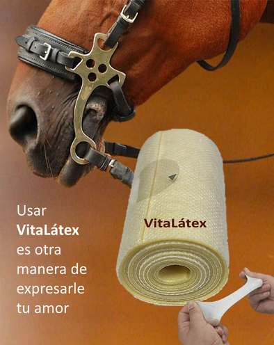 VitaLatex